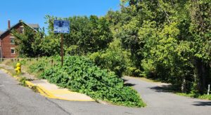More green needed for lower Greenmont push